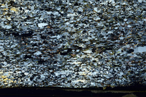 Cross Polarized, S87256