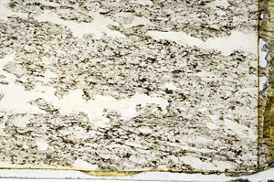 Plane Polarized, S87257