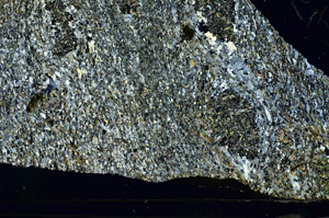 Cross Polarized, S87258