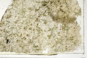 Plane Polarized, S87259