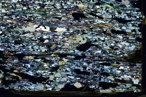 Cross Polarized, S87260