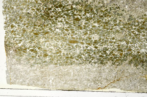 Plane Polarized, S87262