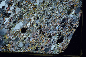 Cross Polarized, S87263