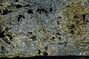 Cross Polarized, S87267