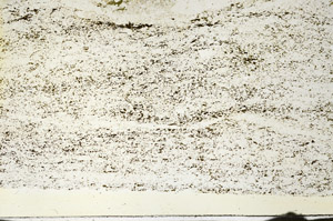 Plane Polarized, S87273