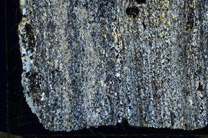 Cross Polarized, S87275