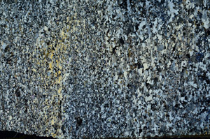 Cross Polarized, S87276