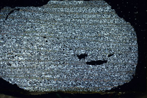 Cross Polarized, S87289