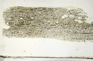 Plane Polarized, S87291