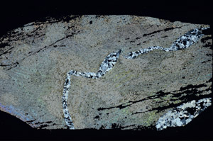 Cross Polarized, S87294