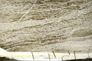 Plane Polarized, S87296