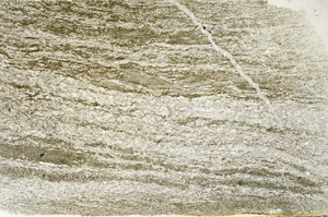 Plane Polarized, S87296/A