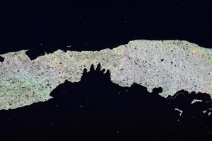 Cross Polarized, S87298/A