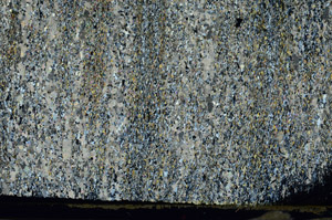 Cross Polarized, S87299