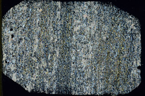 Cross Polarized, S87299/A