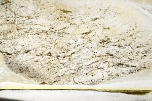 Plane Polarized, S87304