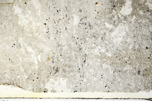 Plane Polarized, S87311