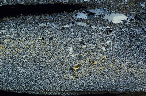 Cross Polarized, S87314