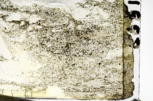 Plane Polarized, S87319