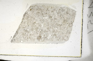 Plane Polarized, S87322