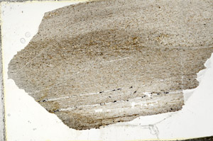 Plane Polarized, S87326