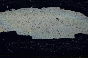 Cross Polarized, S87327