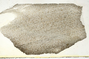 Plane Polarized, S87328