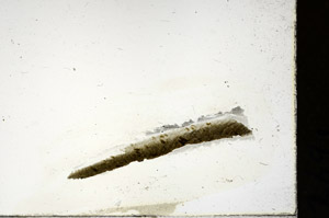 Plane Polarized, S87330