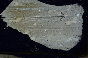 Cross Polarized, S87331