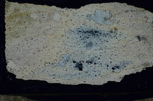 Cross Polarized, S87332