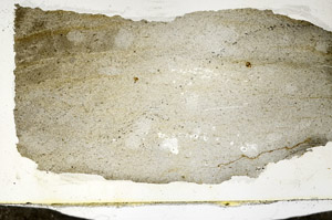 Plane Polarized, S87332