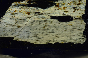 Cross Polarized, S87333