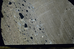 Cross Polarized, S87334