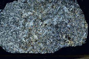 Cross Polarized, S87336