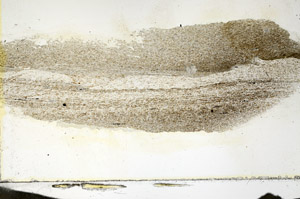 Plane Polarized, S87341