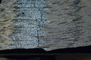 Cross Polarized, S87345