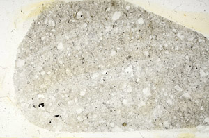 Plane Polarized, S87348