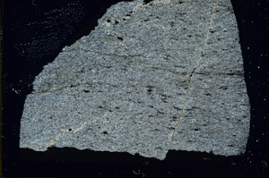 Cross Polarized, S87349