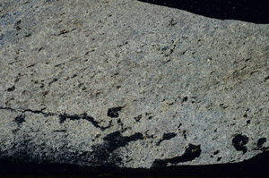 Cross Polarized, S87350