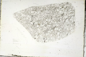 Plane Polarized, S87352