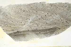 Plane Polarized, S87355