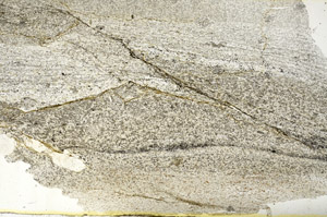 Plane Polarized, S87362