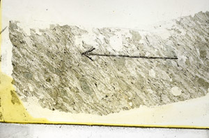 Plane Polarized, S87363