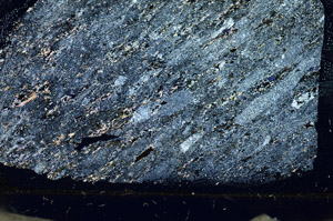 Cross Polarized, S87369