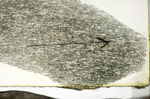Plane Polarized, S87374