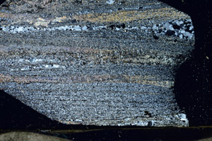 Cross Polarized, S87375