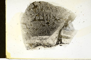 Plane Polarized, S87378
