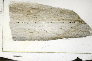 Plane Polarized, S87379