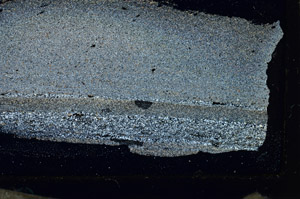 Cross Polarized, S87381