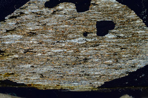 Cross Polarized, S87382
